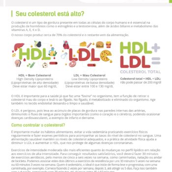 Dica-de-Saude-SC-Saude-3-agosto-Colesterol[1]