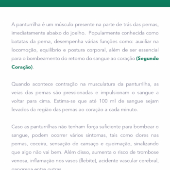 pdf-20-980x2846
